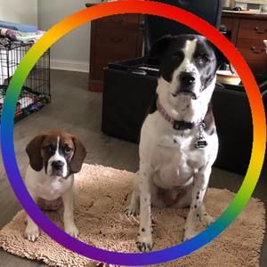 Meet your Posher, Aj